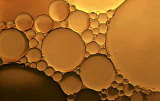 Bubble solution designed to look like Polytar Coal Tar Shampoo