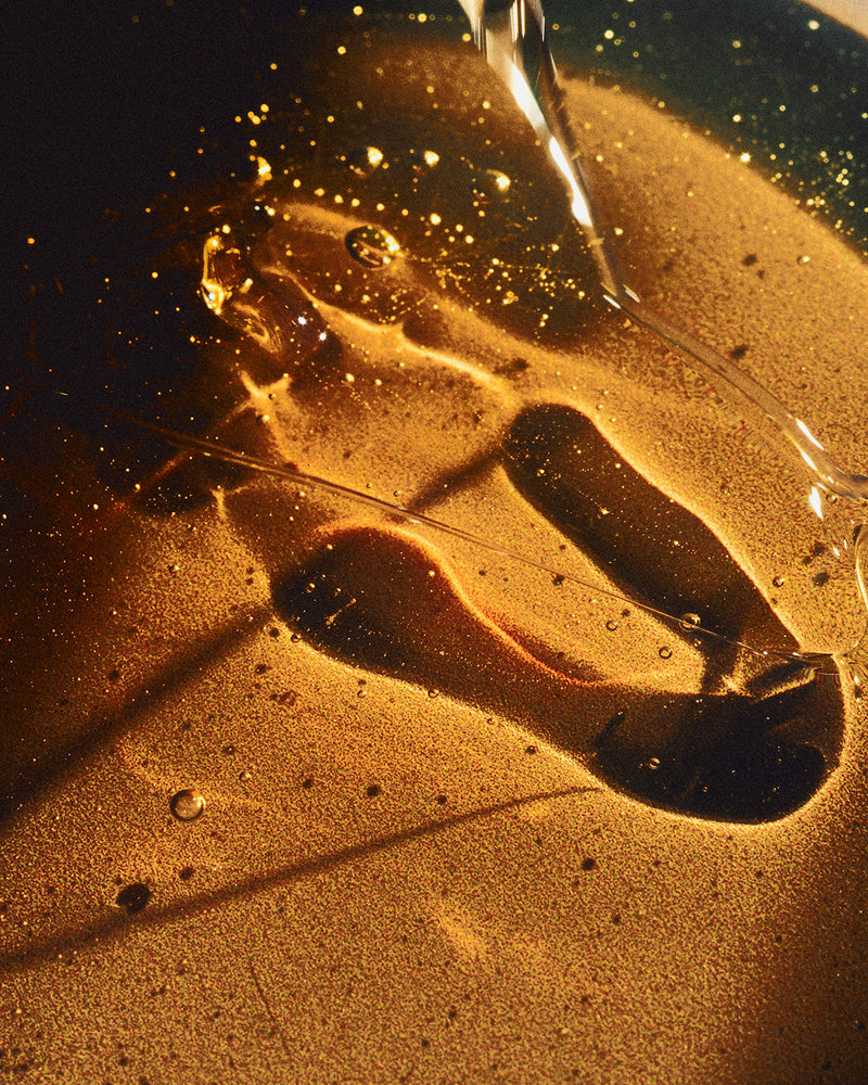 Polytar 4% Shampoo